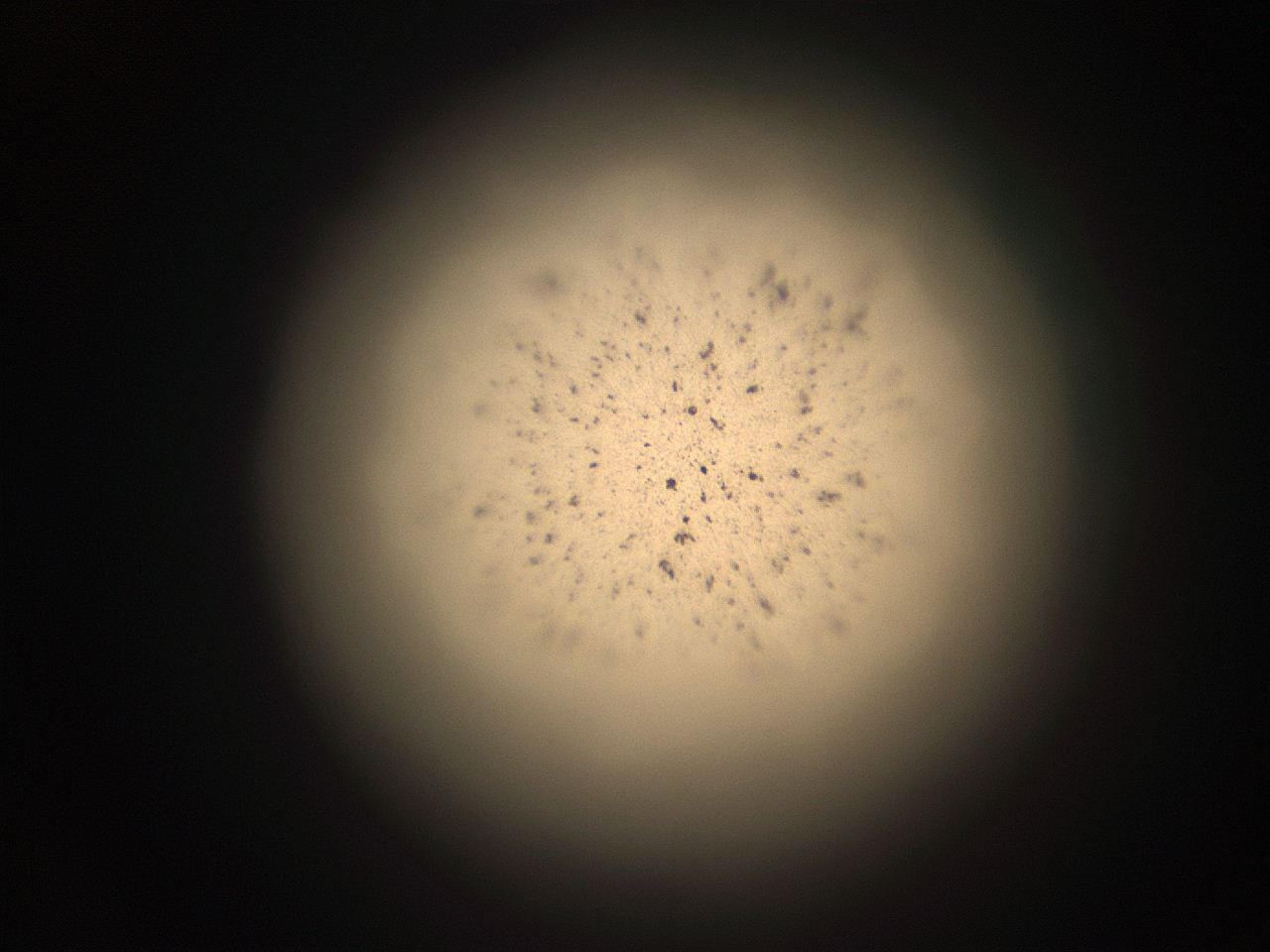 05r3_N13_ImagerDefaults_9.jpg