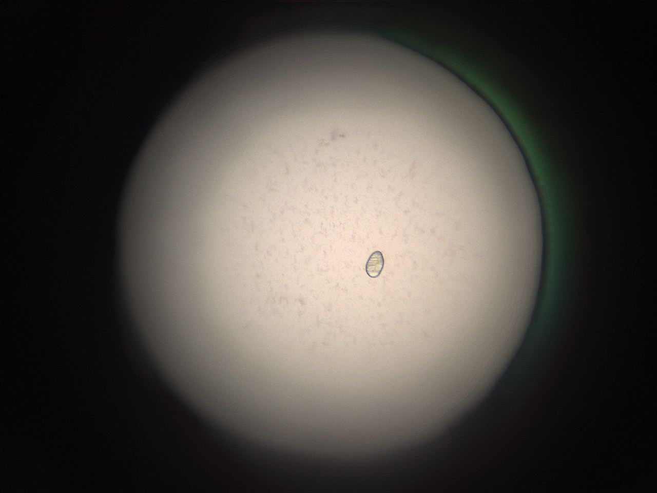 05r4_A16_ImagerDefaults_9.jpg