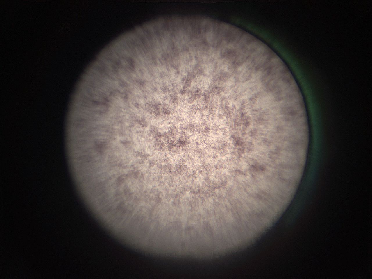 05r4_A13_ImagerDefaults_9.jpg