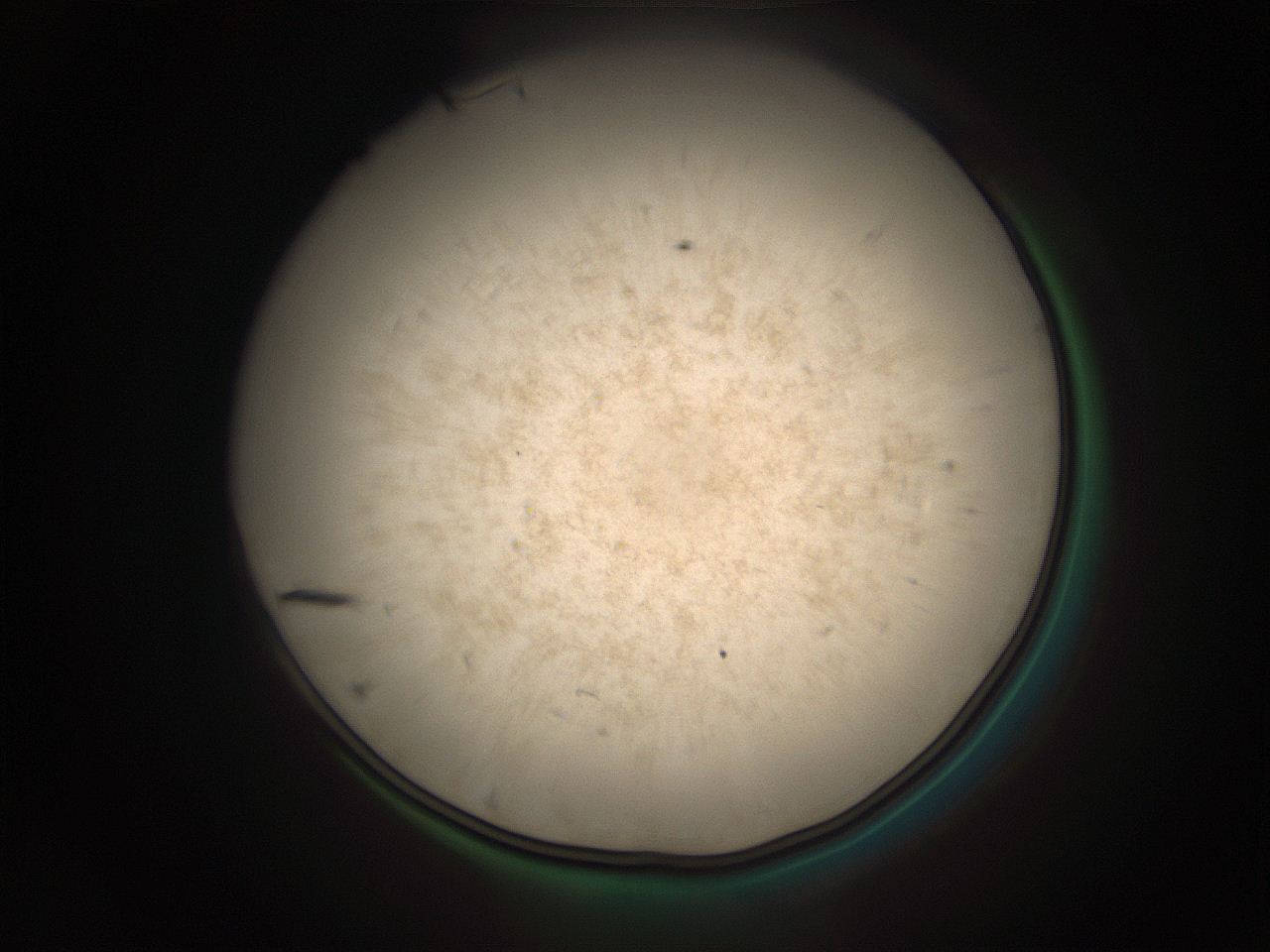 05r4_A1_ImagerDefaults_9.jpg