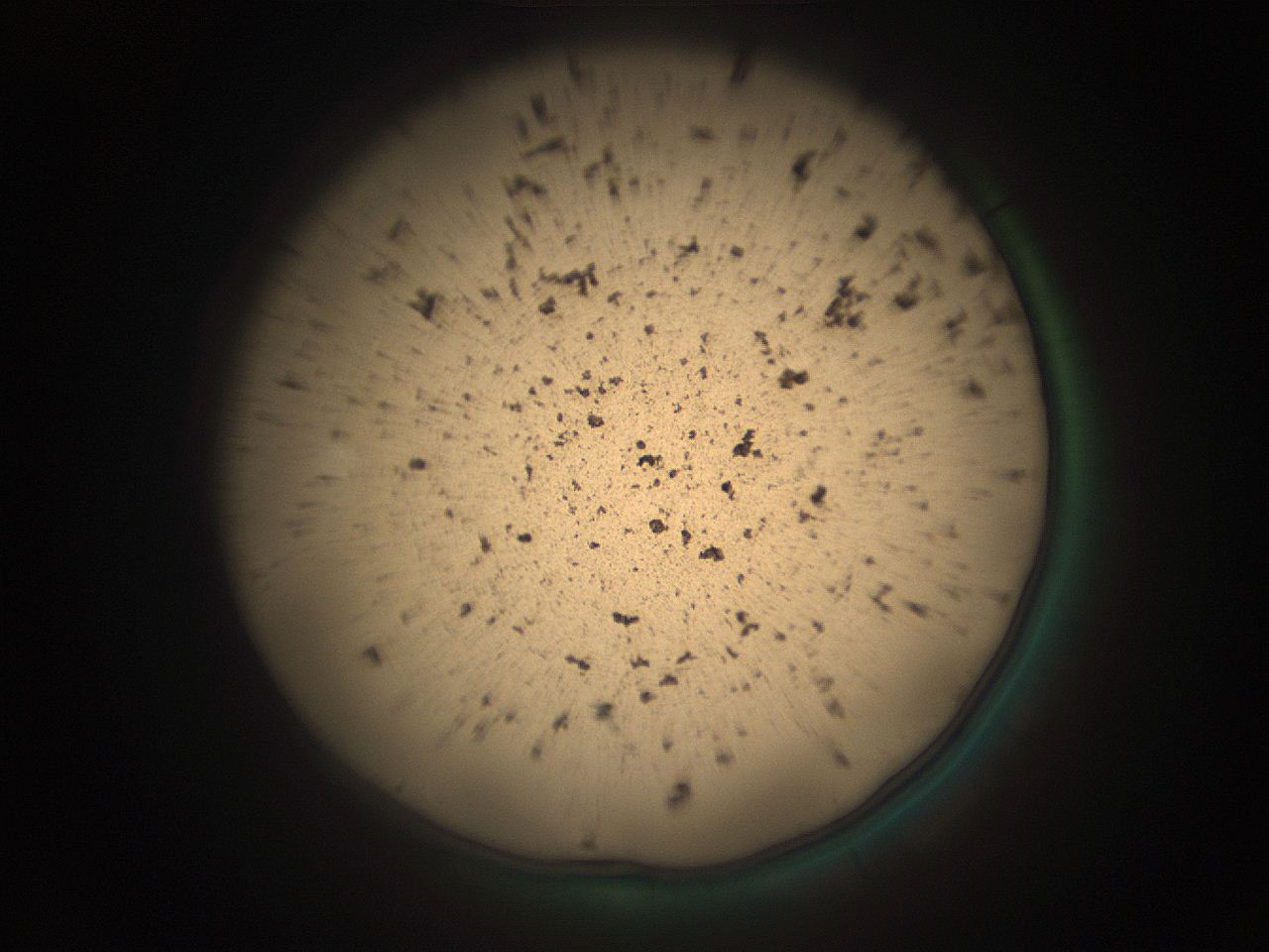 05r4_B1_ImagerDefaults_9.jpg