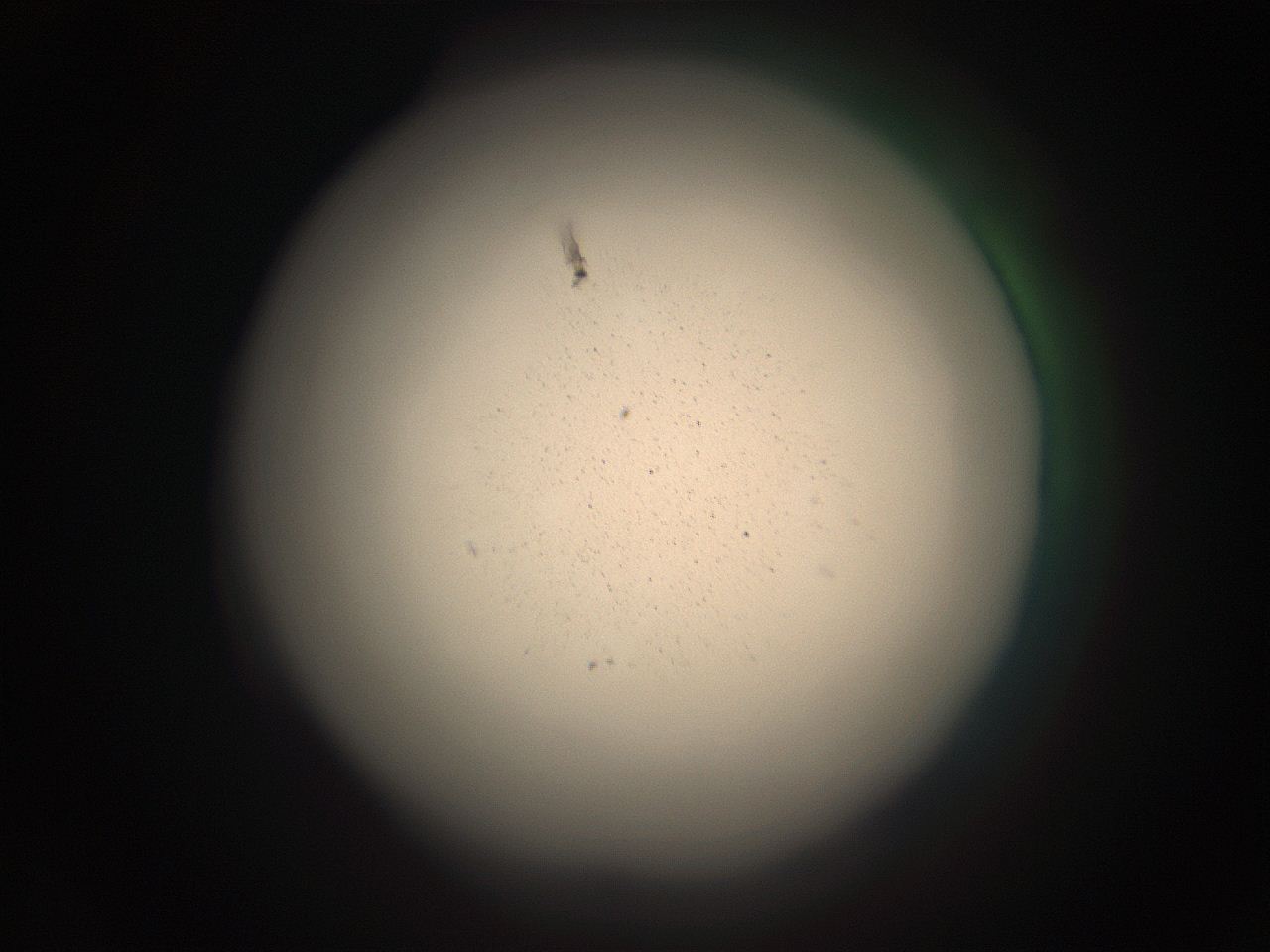 05r4_C15_ImagerDefaults_9.jpg