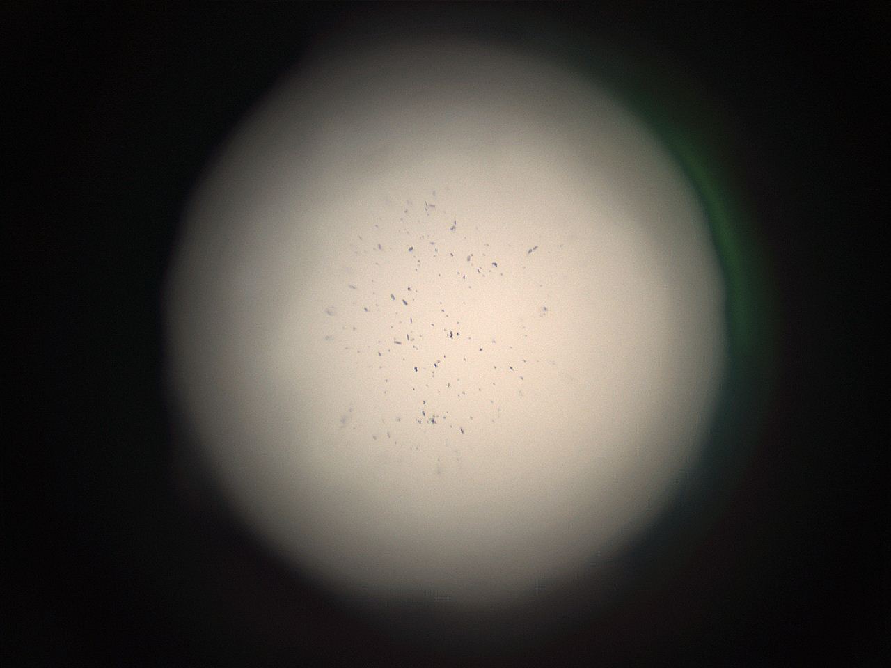 05r4_D13_ImagerDefaults_9.jpg
