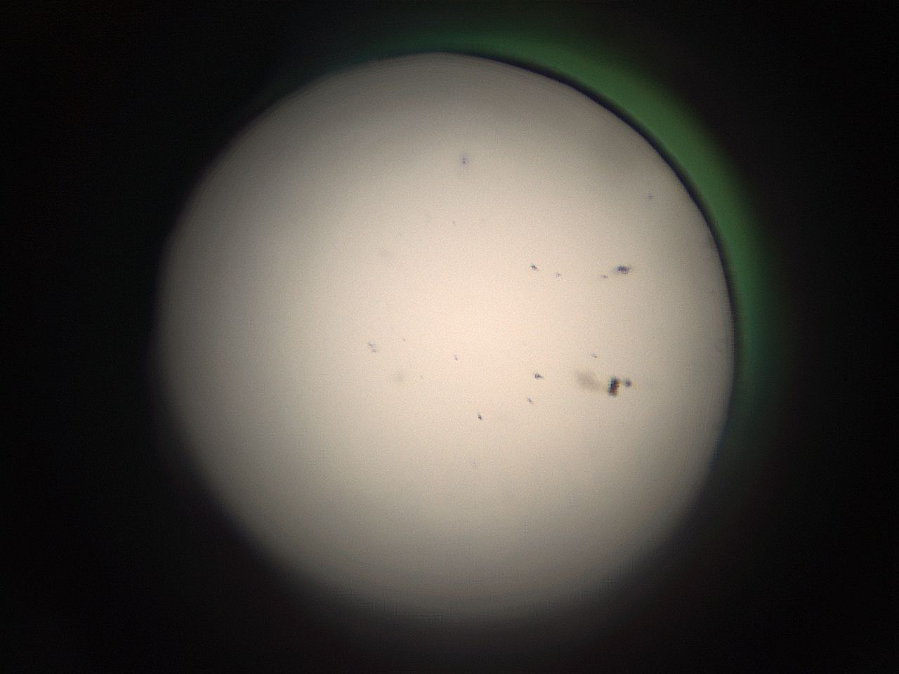 05r4_D24_ImagerDefaults_1.jpg