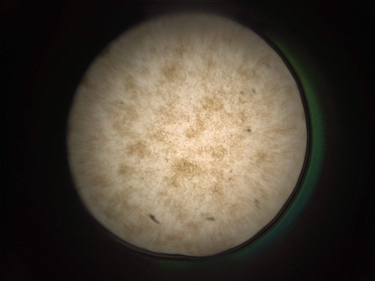 05r4_E1_ImagerDefaults_9.jpg