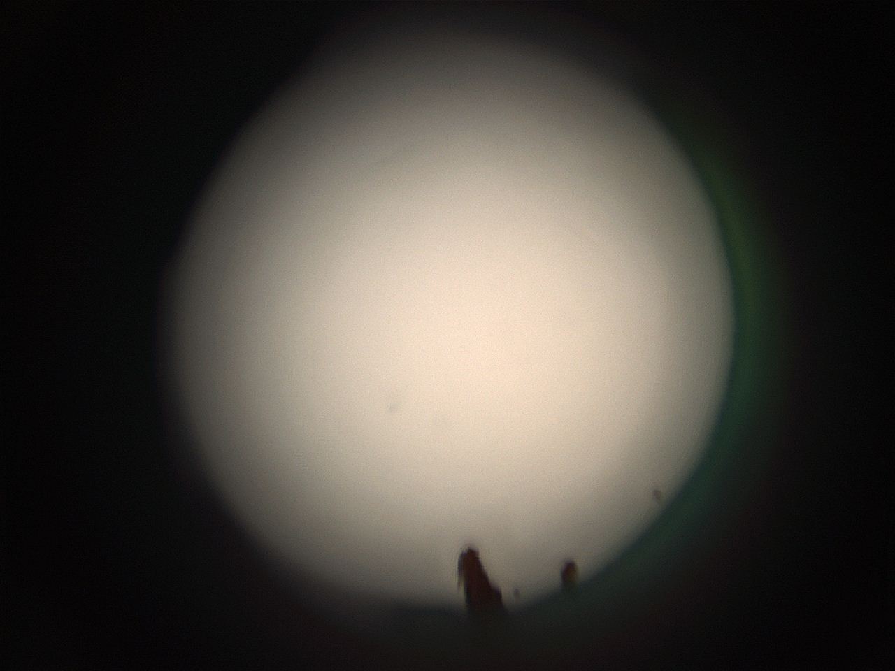 05r4_E5_ImagerDefaults_1.jpg