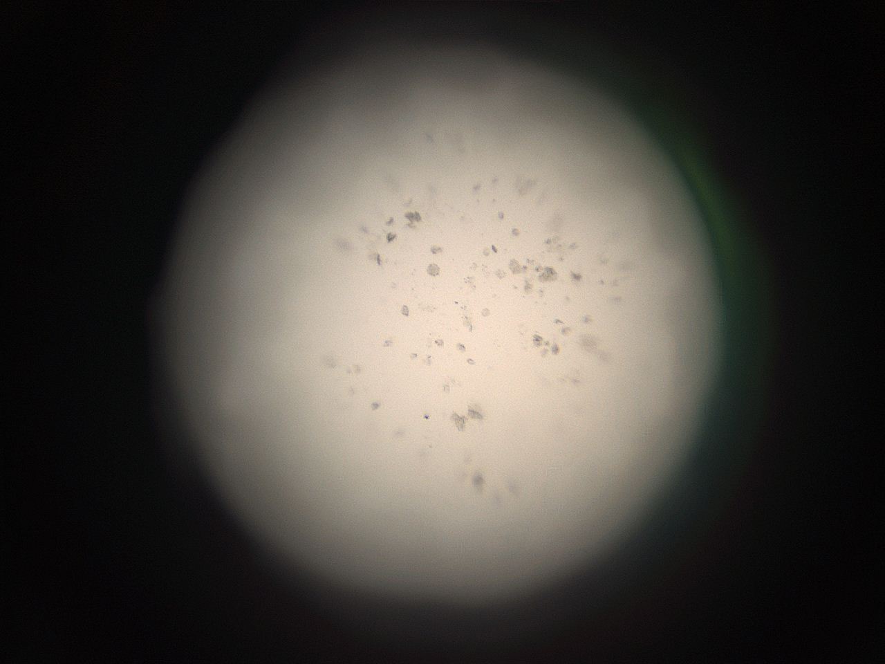 05r4_E10_ImagerDefaults_1.jpg