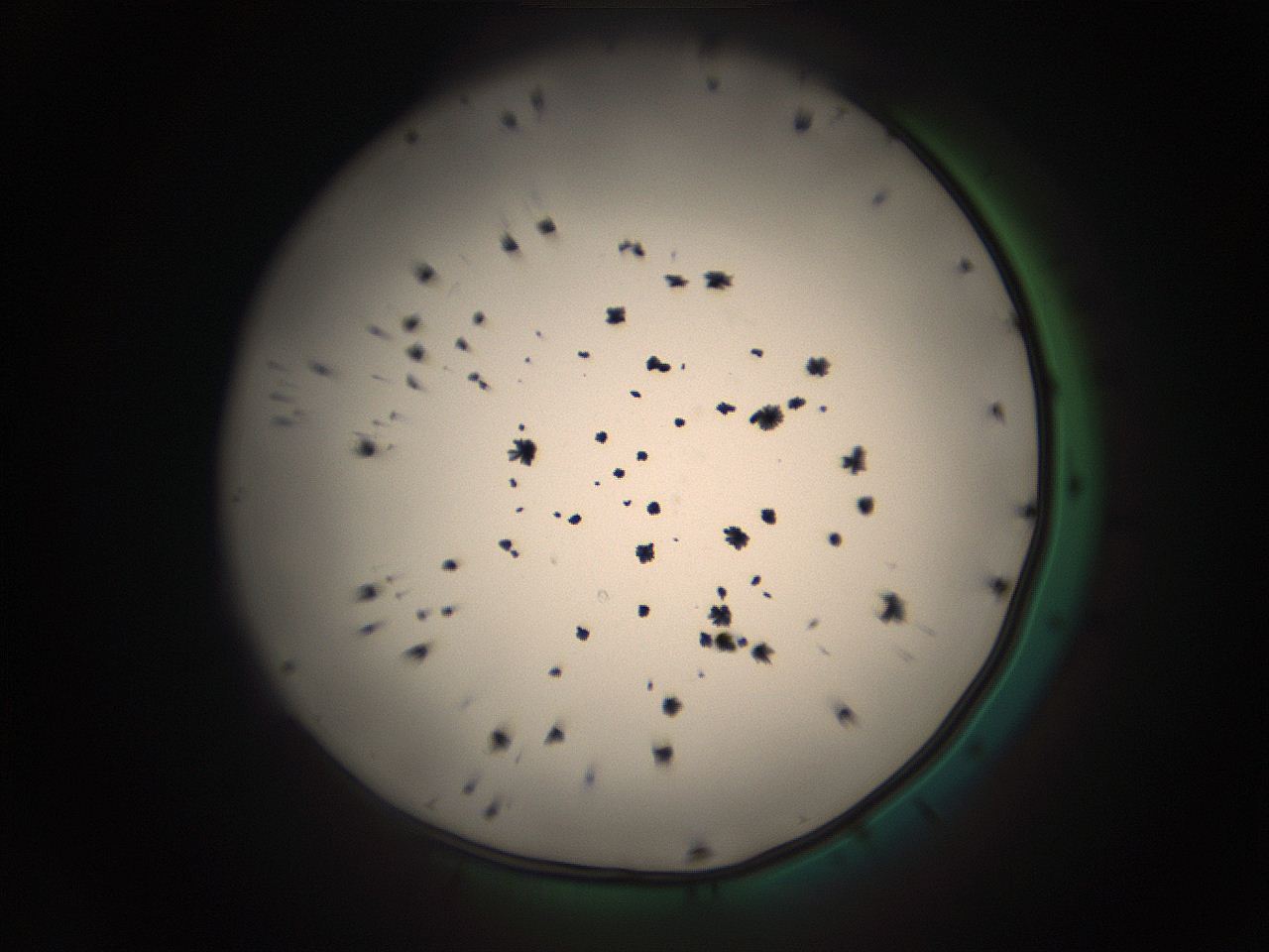 05r4_F1_ImagerDefaults_9.jpg