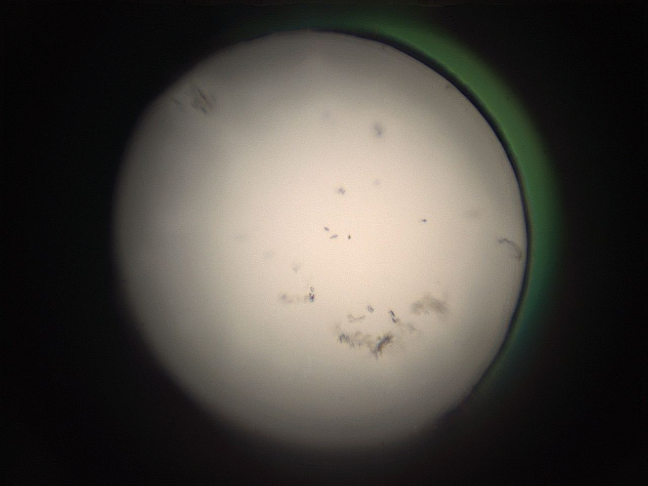 05r4_J24_ImagerDefaults_1.jpg