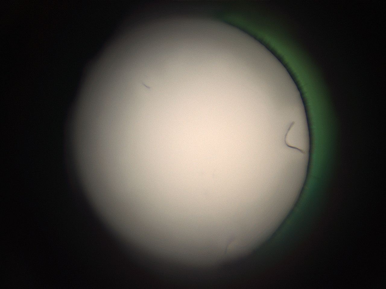 05r4_K19_ImagerDefaults_1.jpg