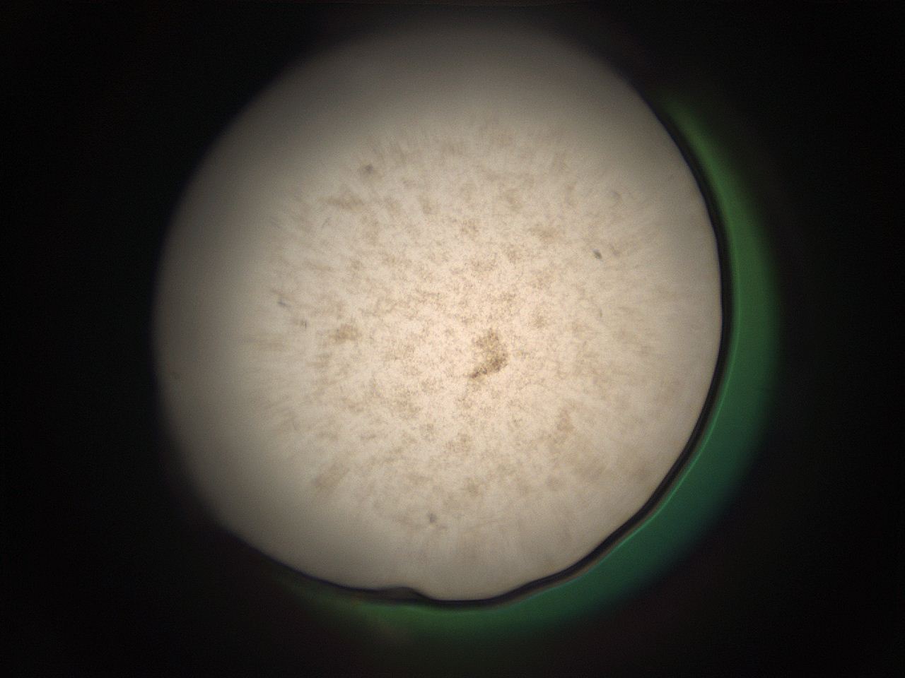 05r4_M1_ImagerDefaults_9.jpg