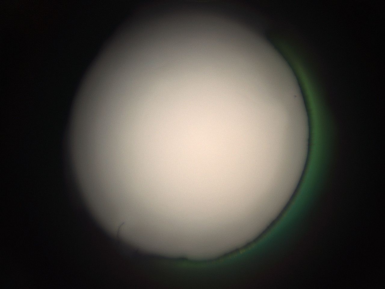 05r4_M10_ImagerDefaults_1.jpg