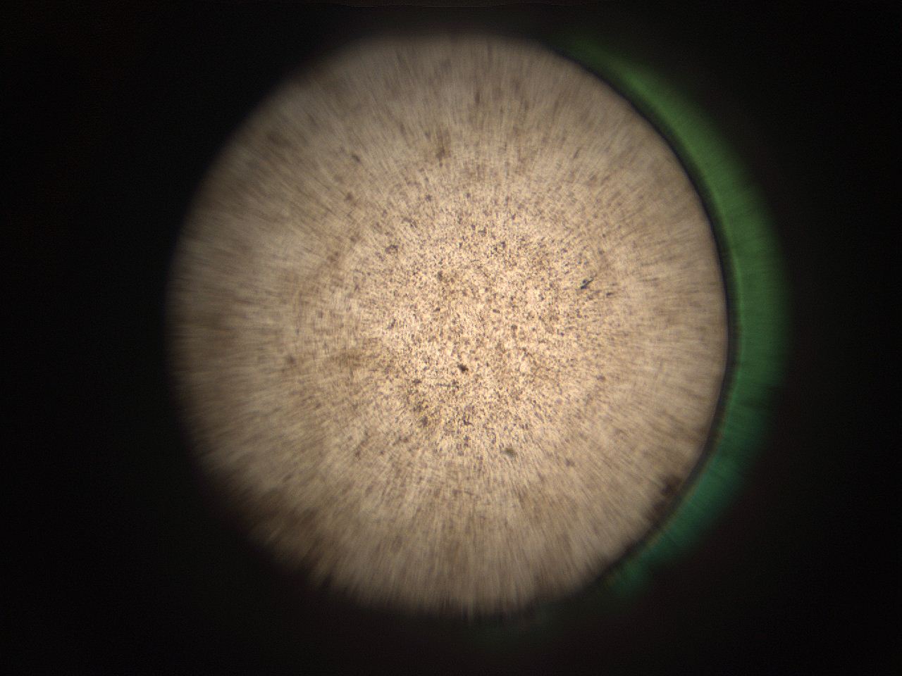 05r4_M13_ImagerDefaults_9.jpg