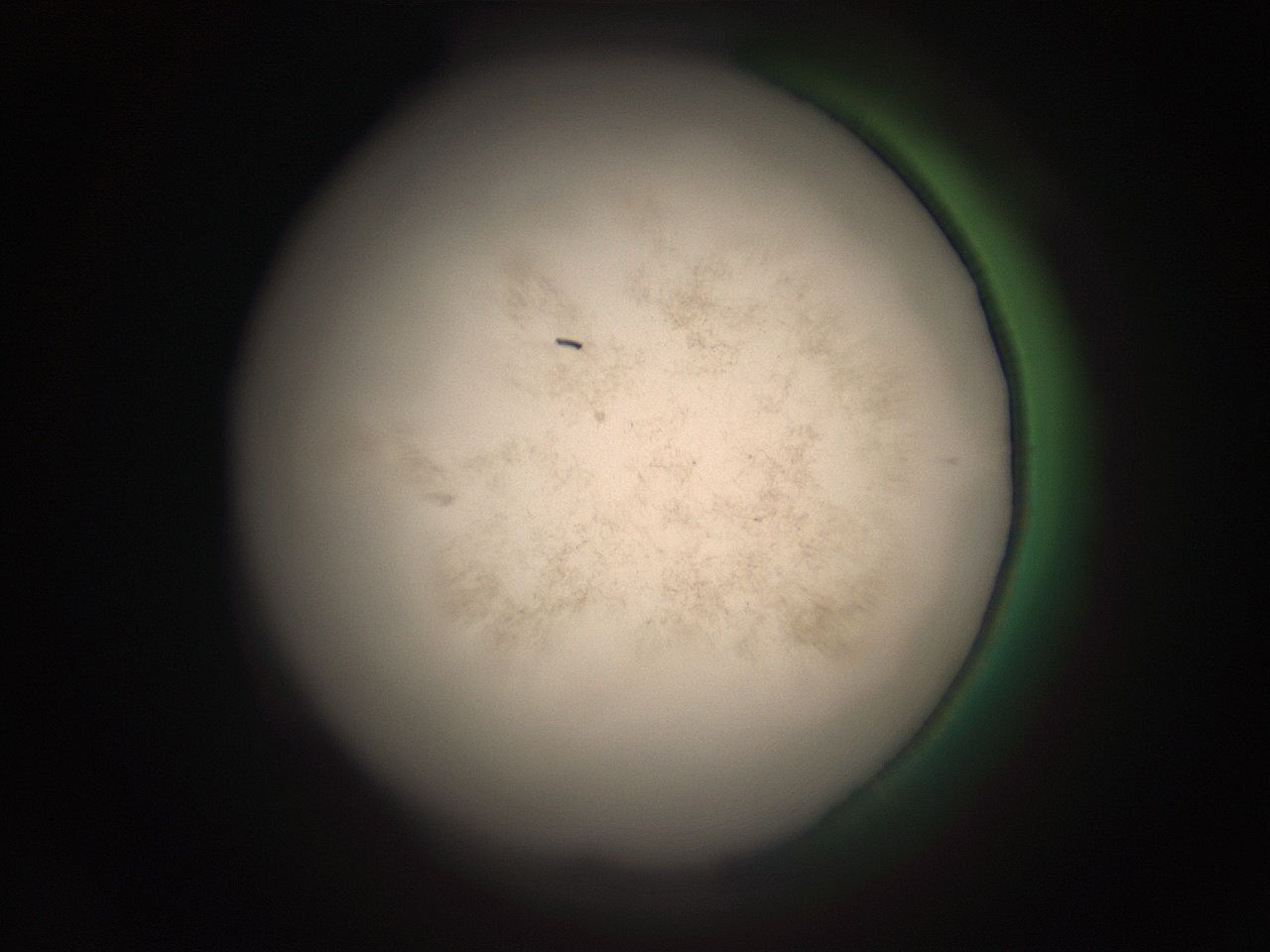05r4_M15_ImagerDefaults_9.jpg