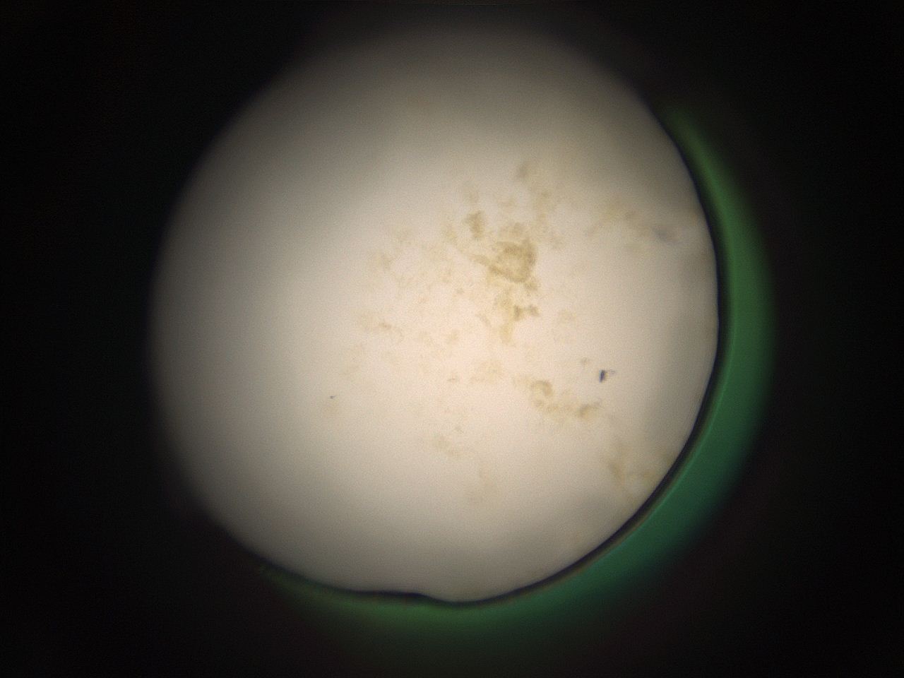 05r4_N2_ImagerDefaults_9.jpg