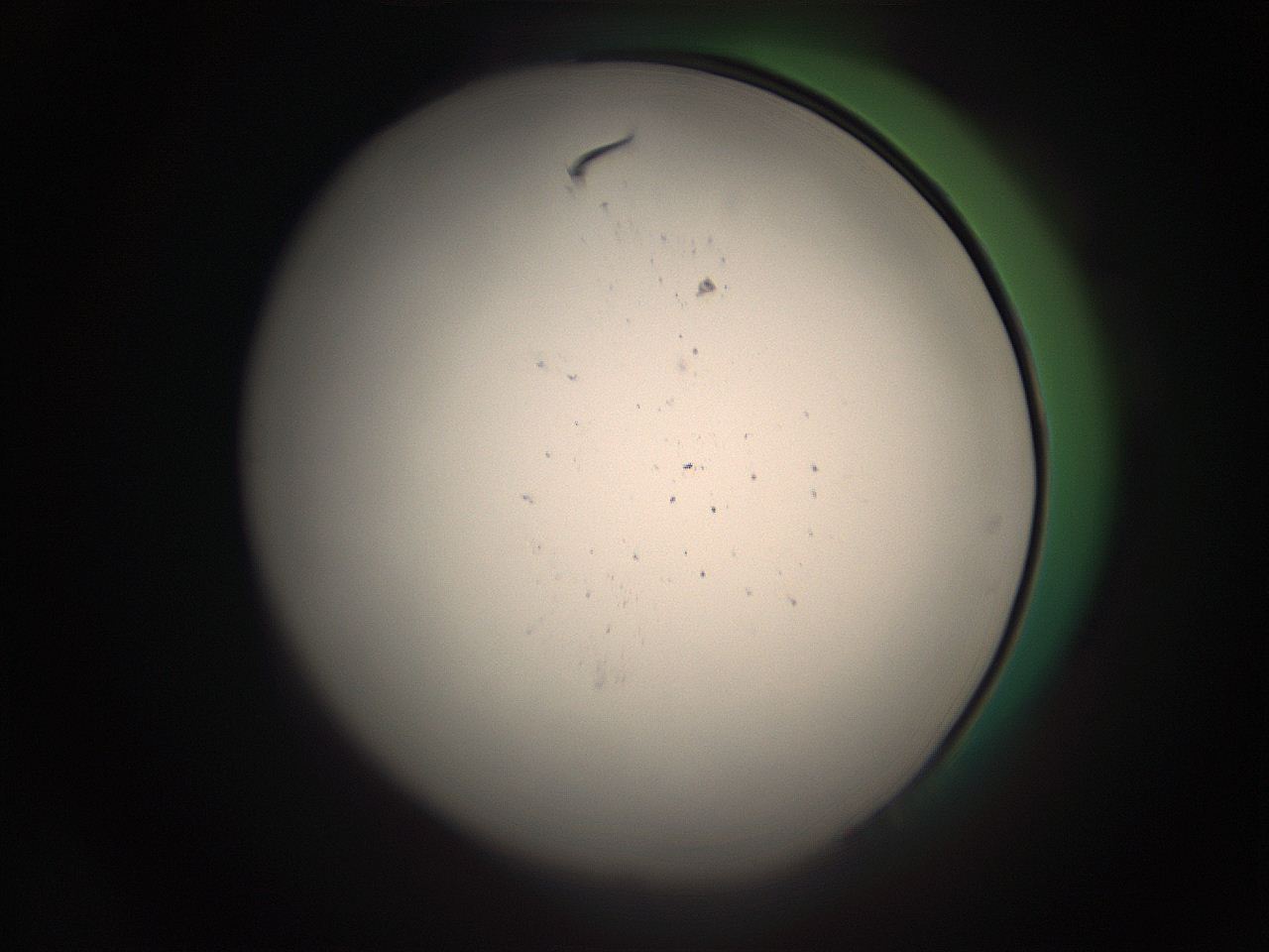 05r4_N24_ImagerDefaults_1.jpg