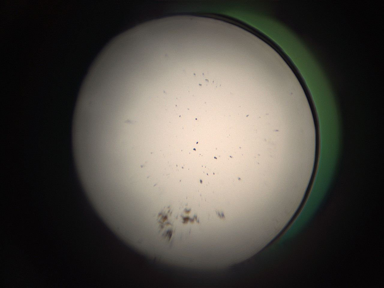 05r4_O24_ImagerDefaults_1.jpg