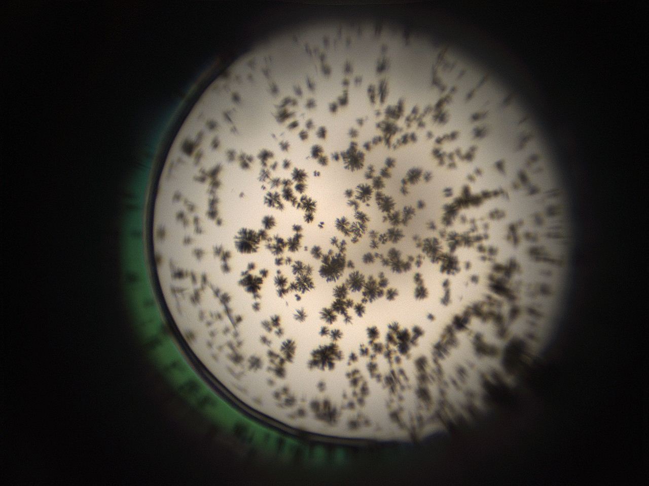 05r5_C1_ImagerDefaults_9.jpg