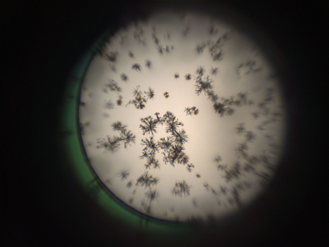 05r5_C2_ImagerDefaults_9.jpg