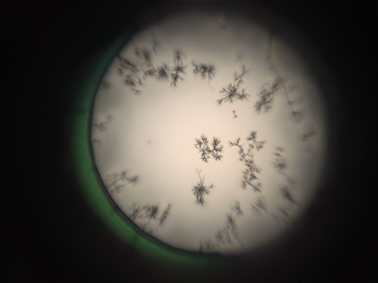 05r5_C3_ImagerDefaults_9.jpg