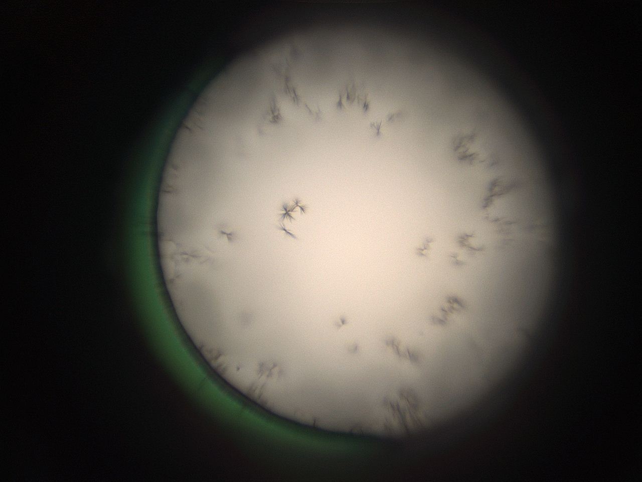 05r5_C4_ImagerDefaults_9.jpg