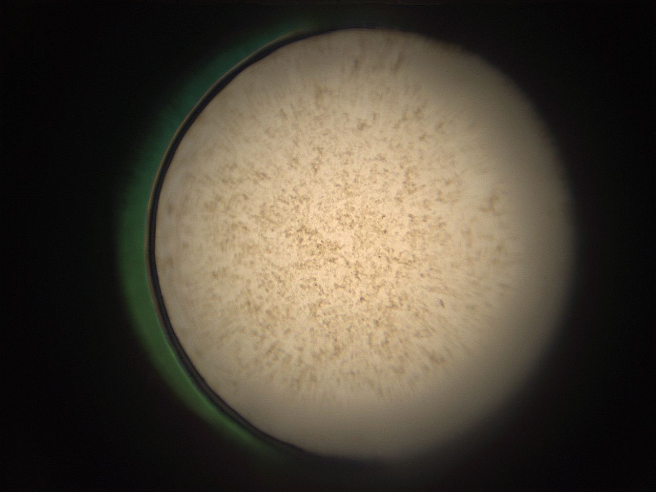 05r5_A13_ImagerDefaults_9.jpg