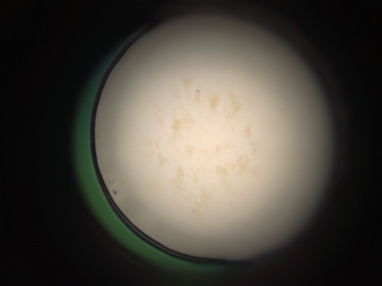 05r5_A3_ImagerDefaults_9.jpg
