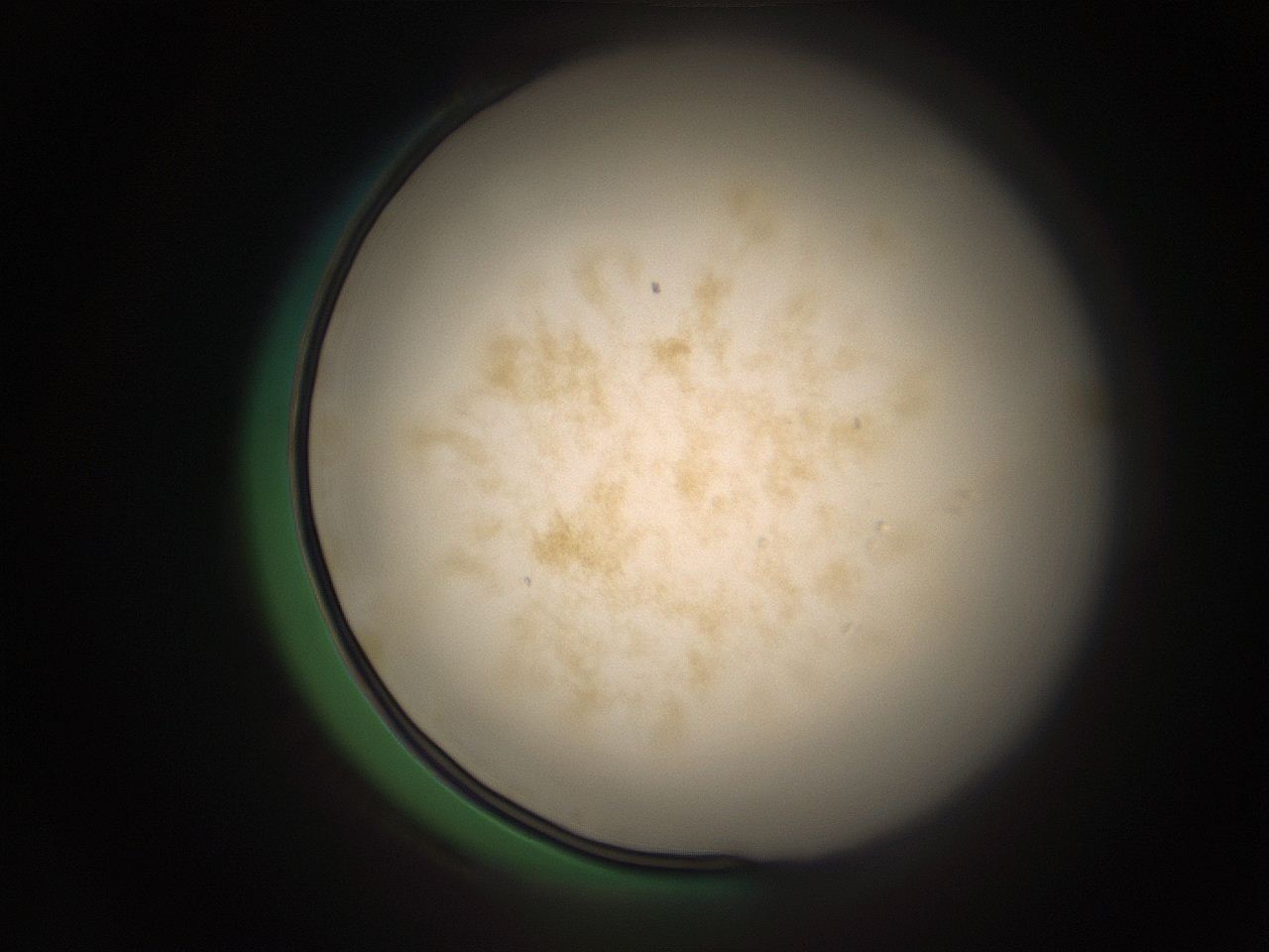 05r5_A2_ImagerDefaults_9.jpg