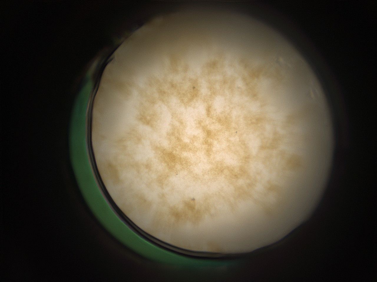 05r5_A1_ImagerDefaults_9.jpg