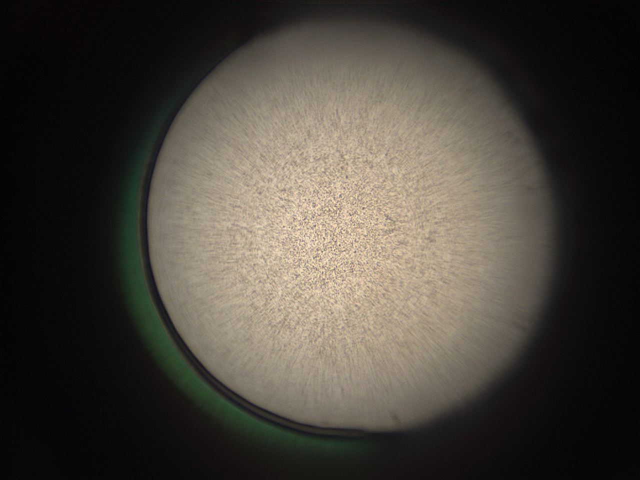 05r5_D1_ImagerDefaults_9.jpg