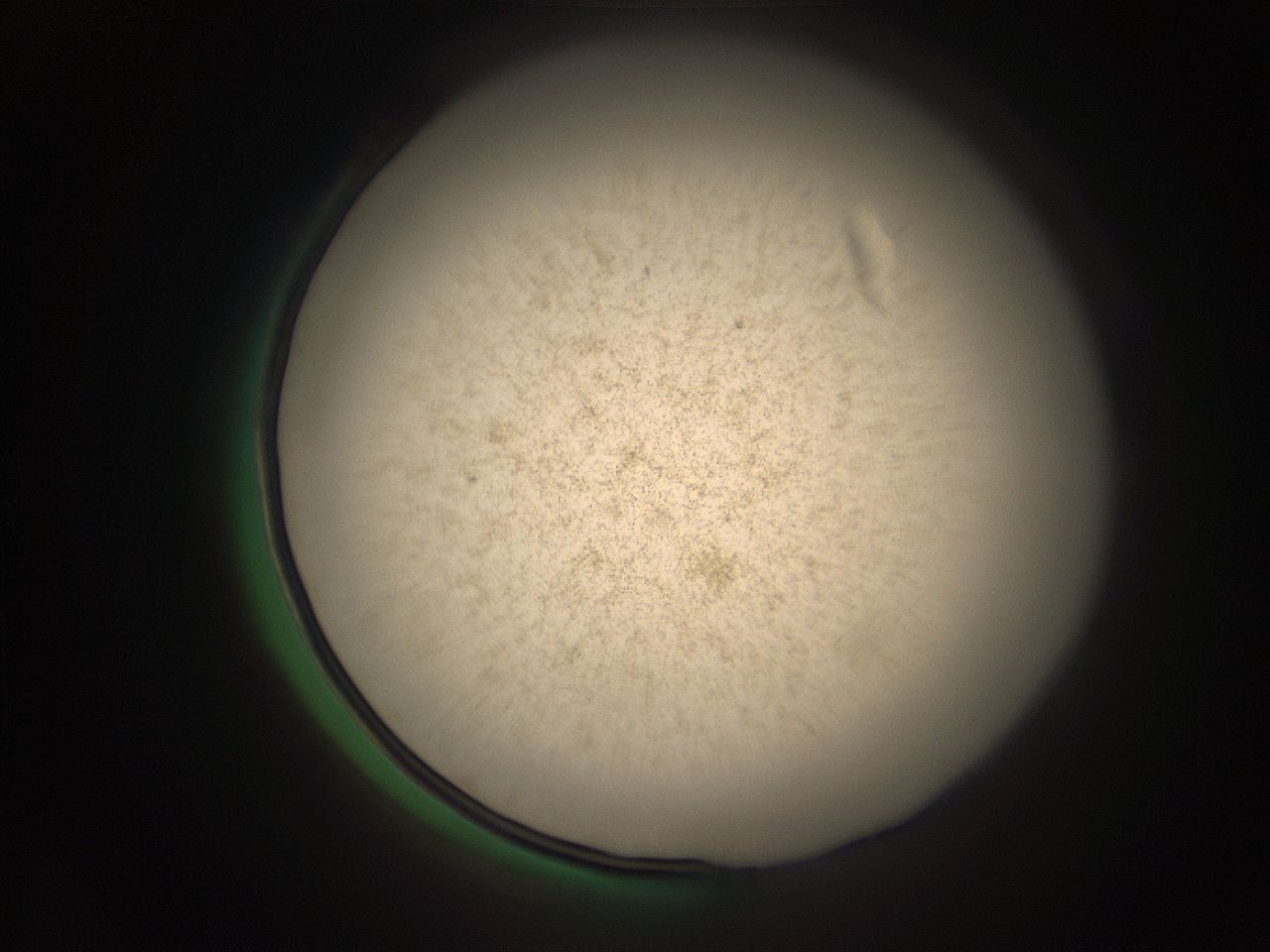 05r5_H1_ImagerDefaults_9.jpg