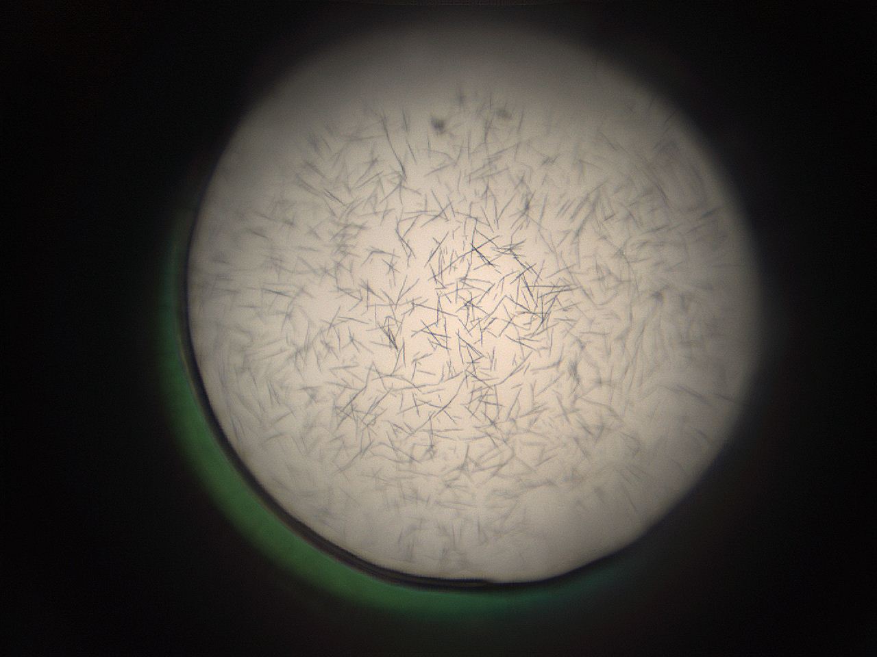 05r5_I1_ImagerDefaults_9.jpg