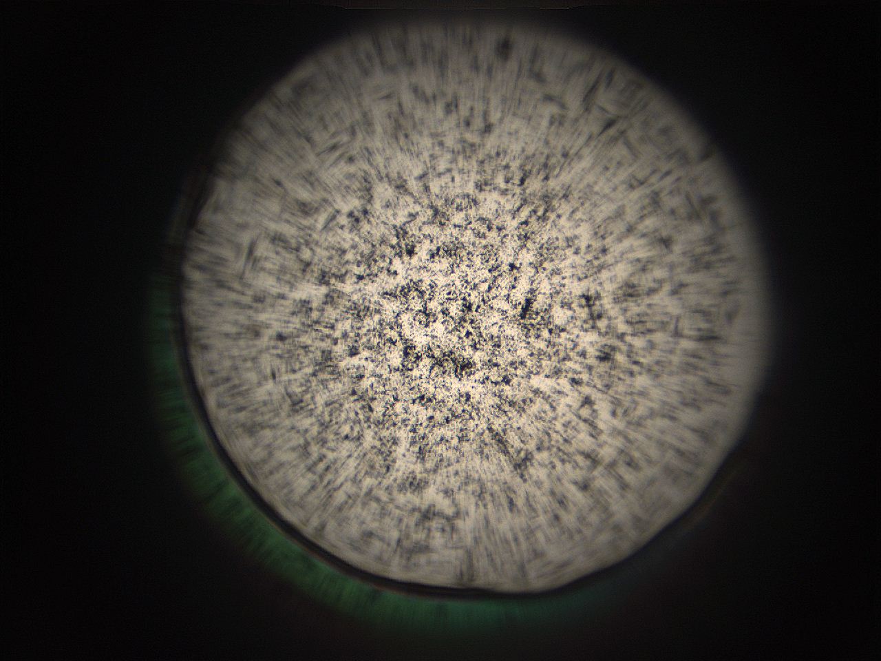 05r5_J1_ImagerDefaults_9.jpg