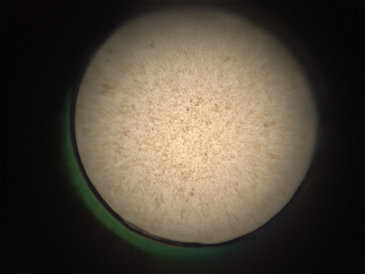 05r5_L1_ImagerDefaults_9.jpg