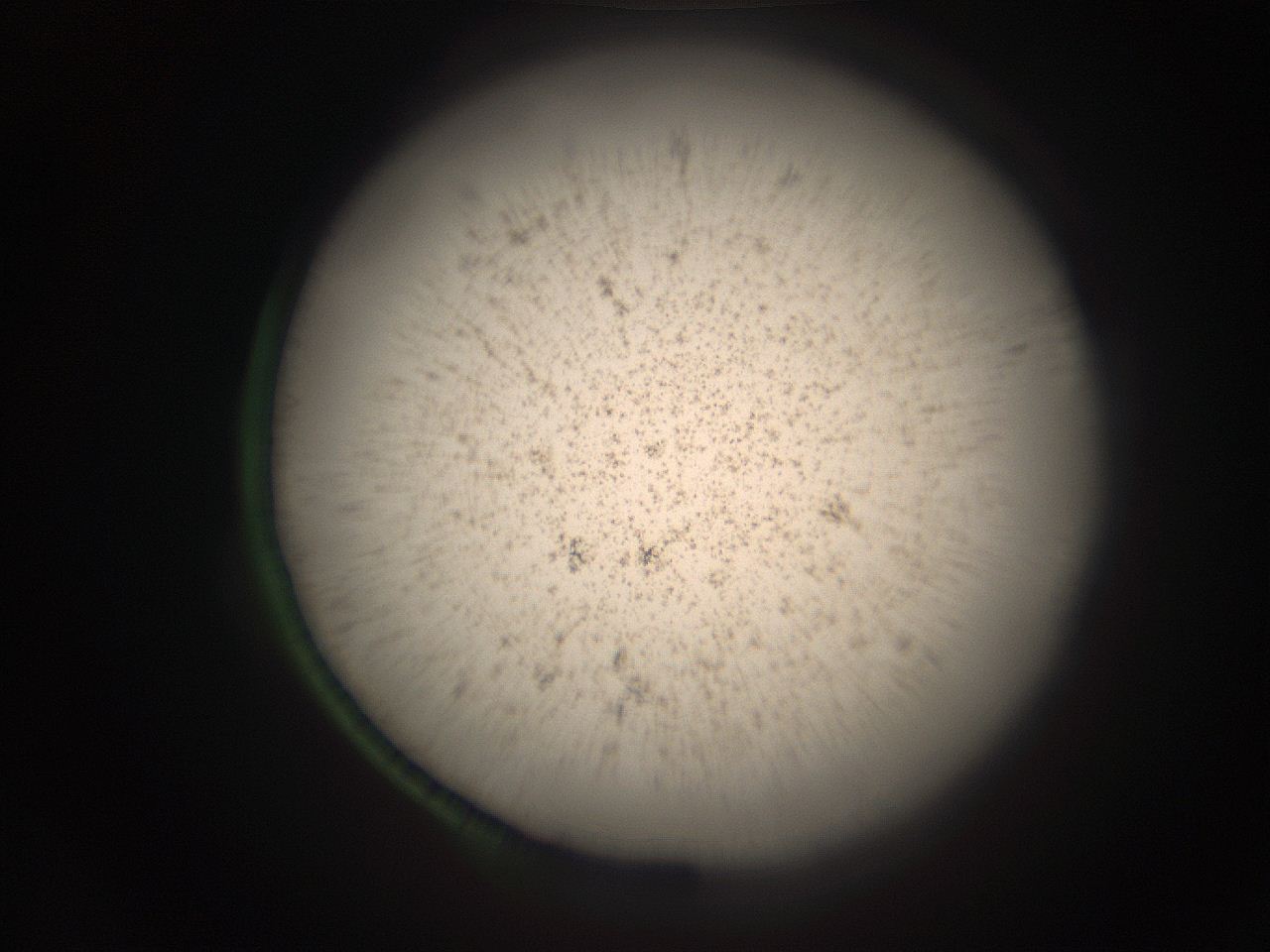 05r5_O14_ImagerDefaults_9.jpg