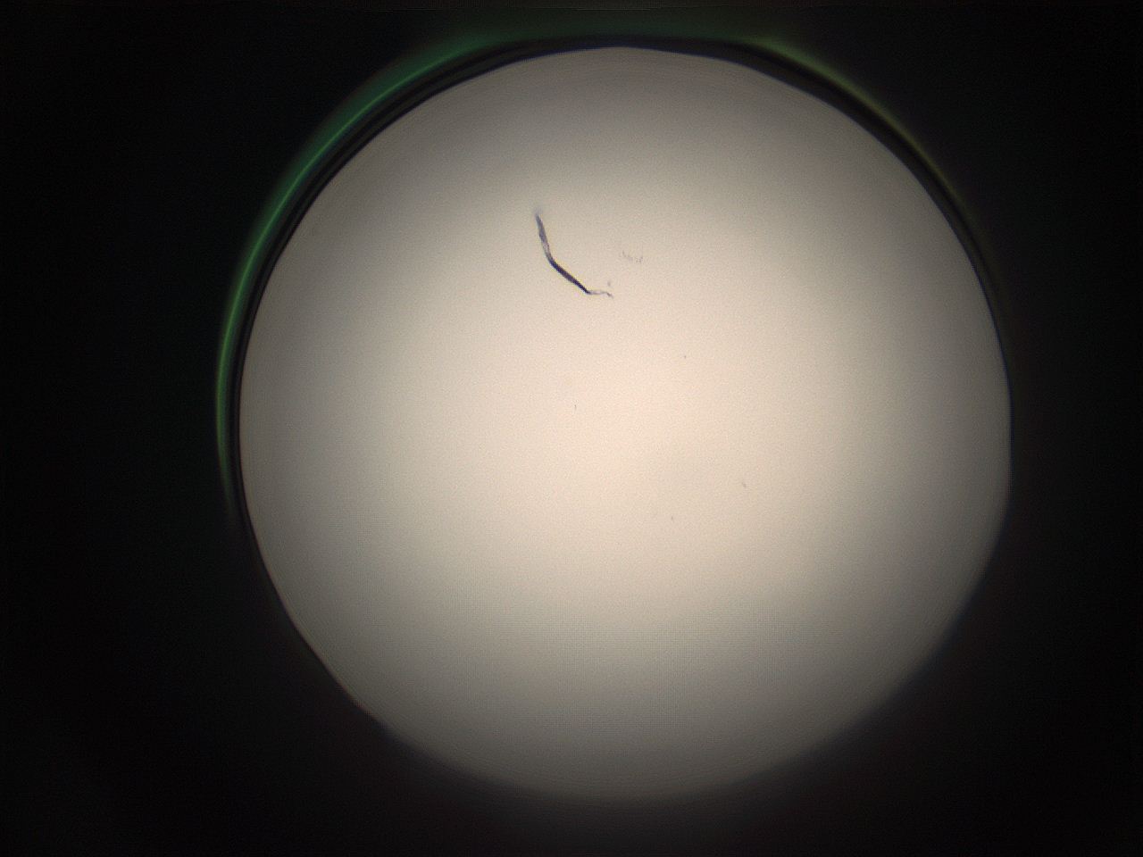 05r5_P24_ImagerDefaults_1.jpg