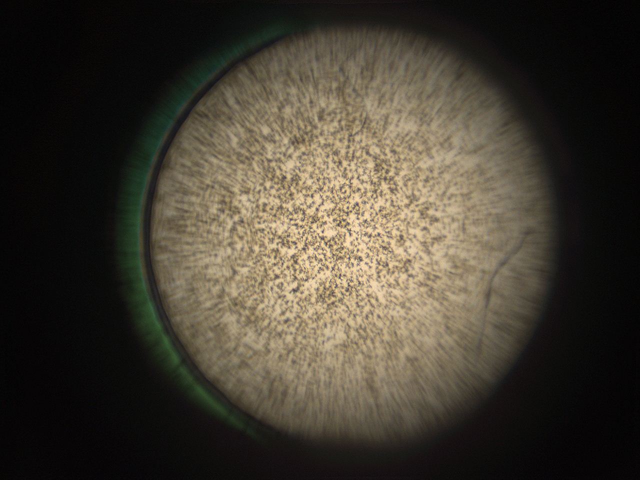 05r6_B13_ImagerDefaults_9.jpg