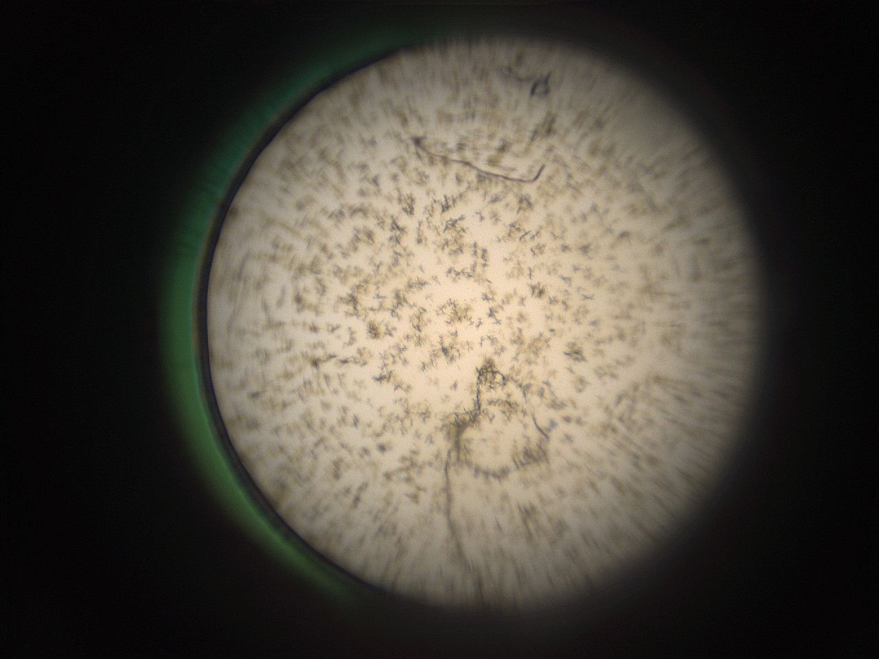 05r6_B14_ImagerDefaults_9.jpg