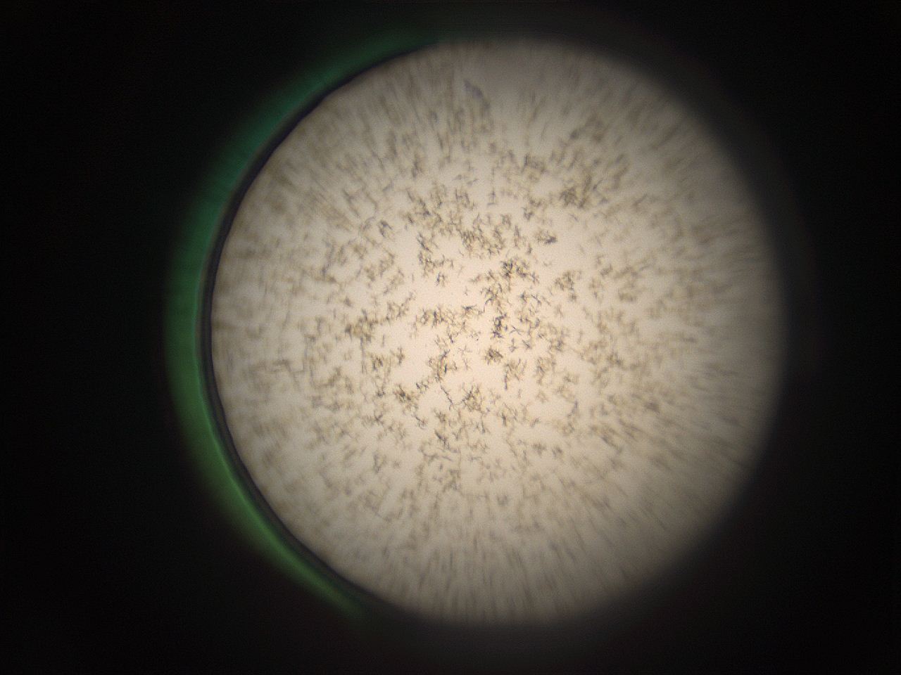 05r6_B15_ImagerDefaults_9.jpg
