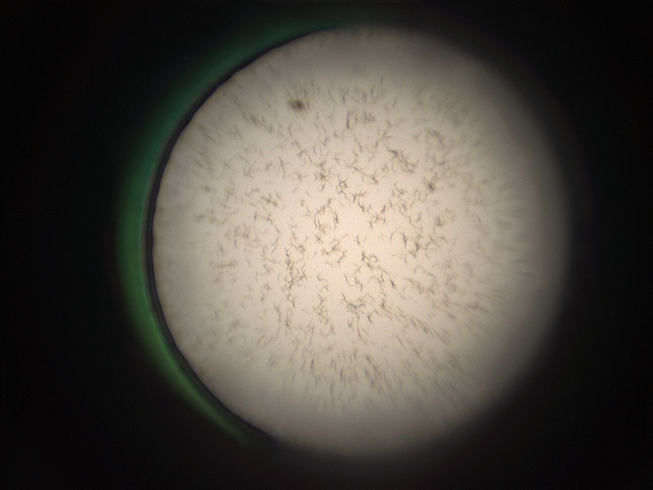 05r6_B16_ImagerDefaults_9.jpg