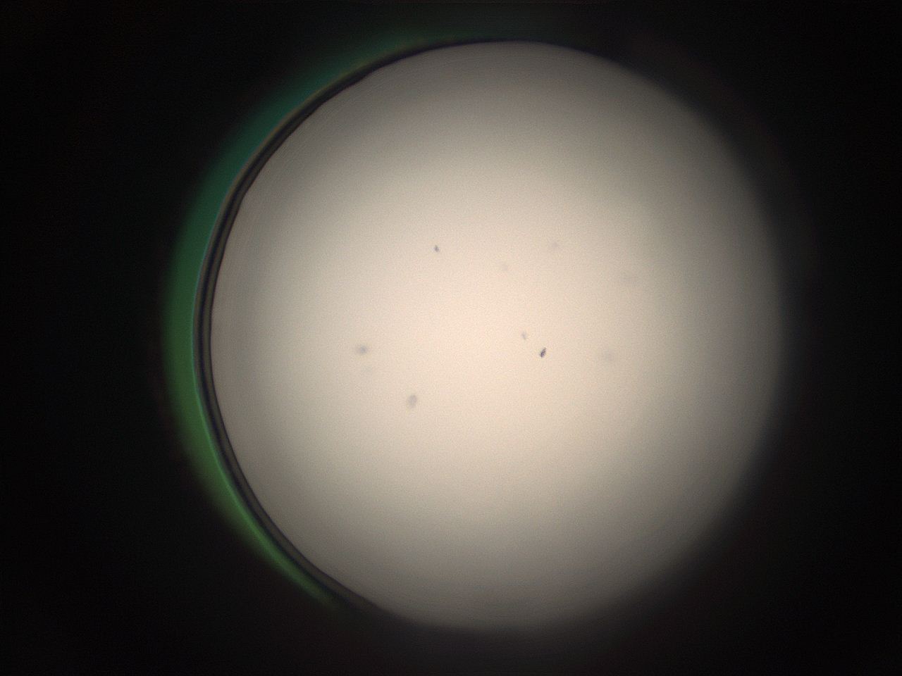 05r6_A17_ImagerDefaults_1.jpg