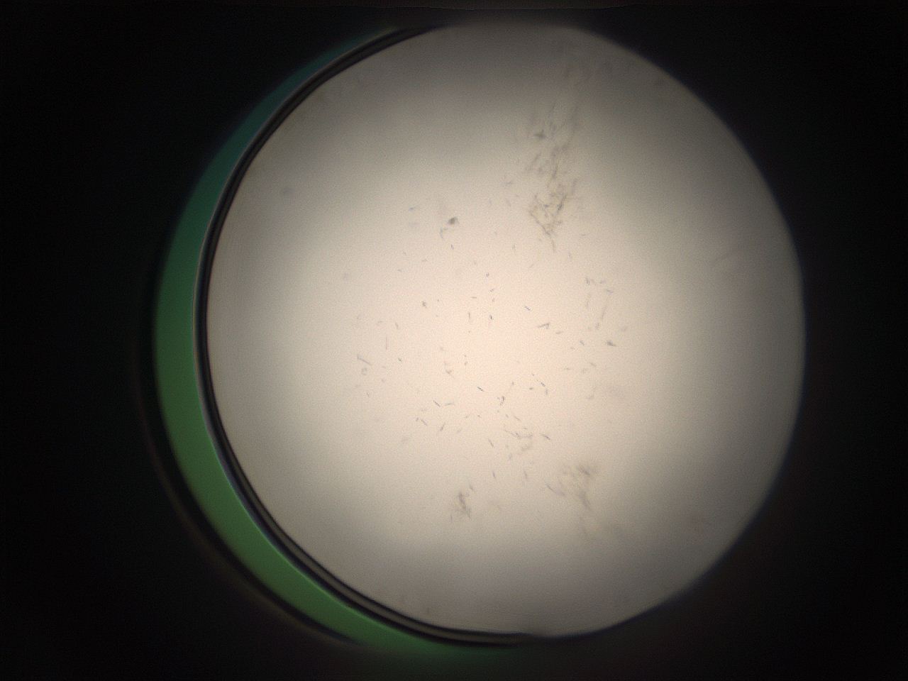 05r6_A6_ImagerDefaults_9.jpg