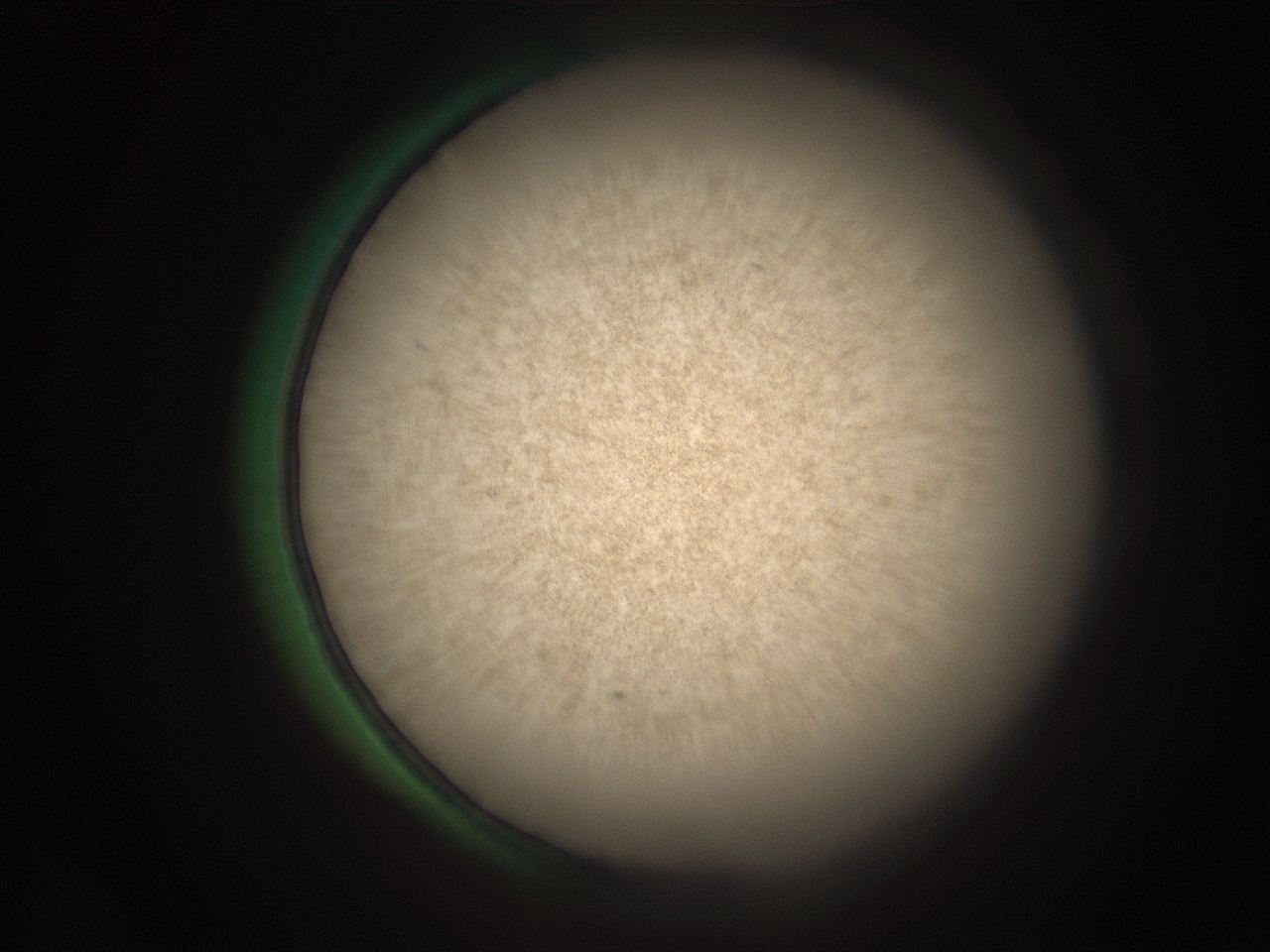 05r6_C13_ImagerDefaults_9.jpg