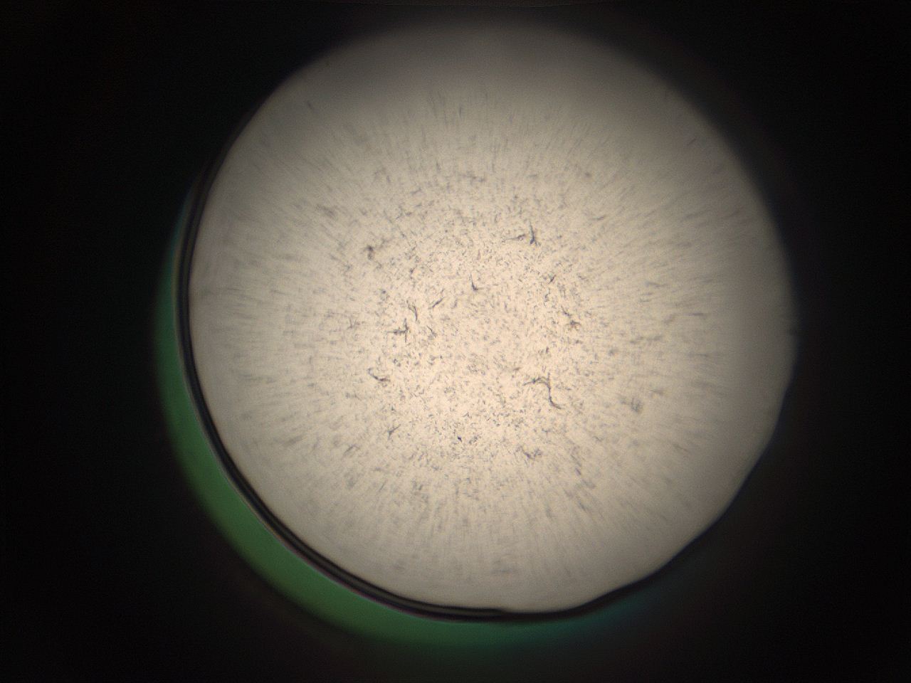 05r6_I1_ImagerDefaults_9.jpg