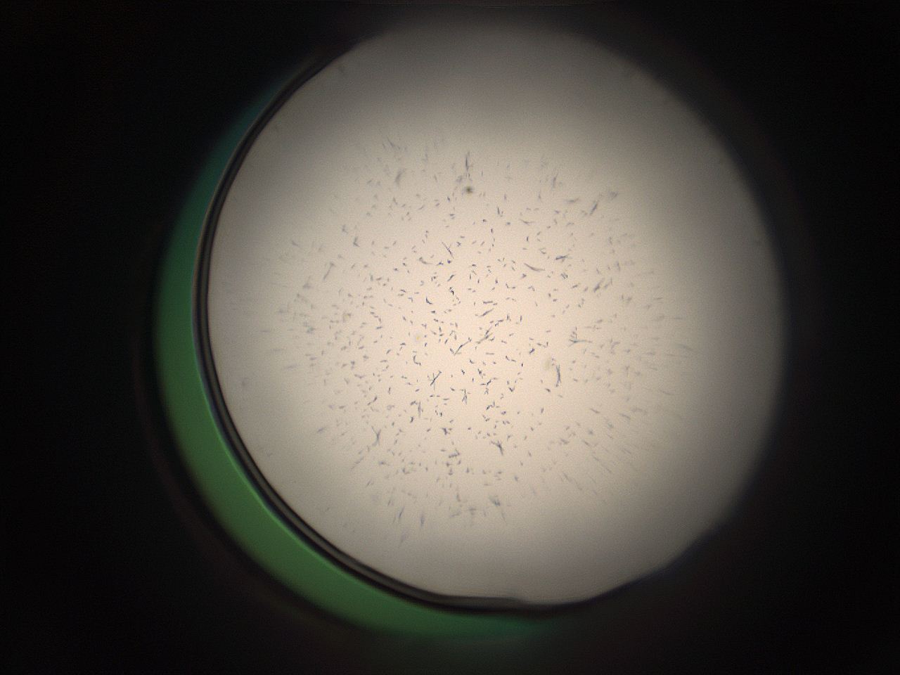 05r7_A4_ImagerDefaults_9.jpg