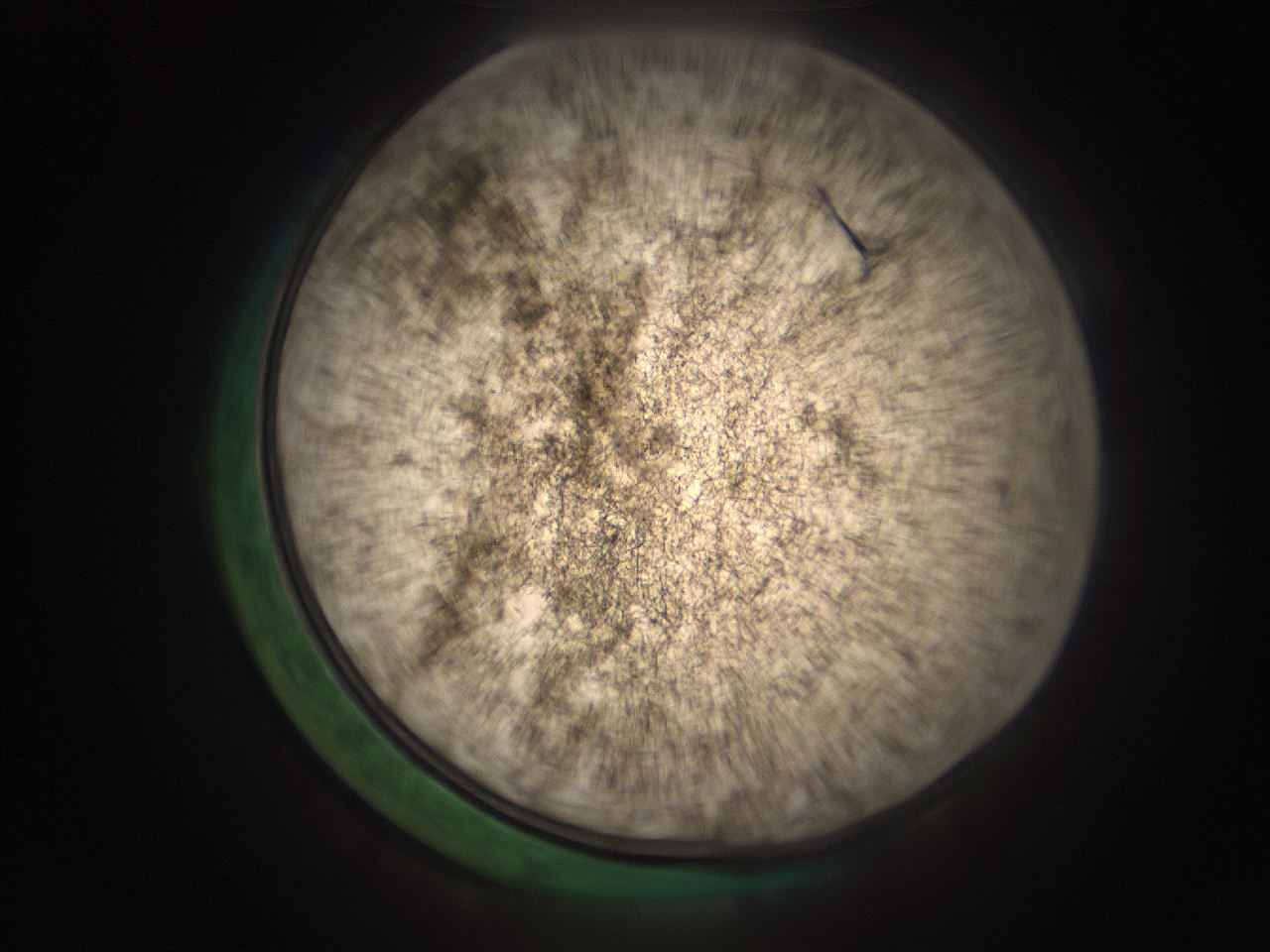 05r7_B1_ImagerDefaults_9.jpg