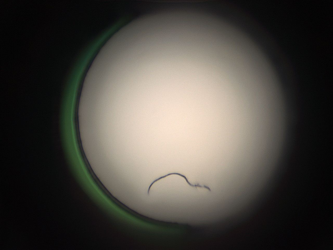 05r7_C11_ImagerDefaults_1.jpg