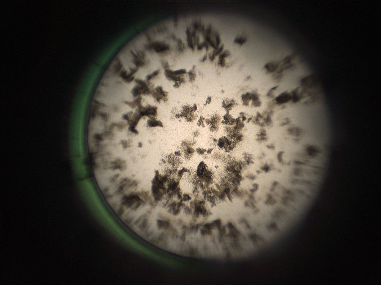 05r7_C13_ImagerDefaults_9.jpg
