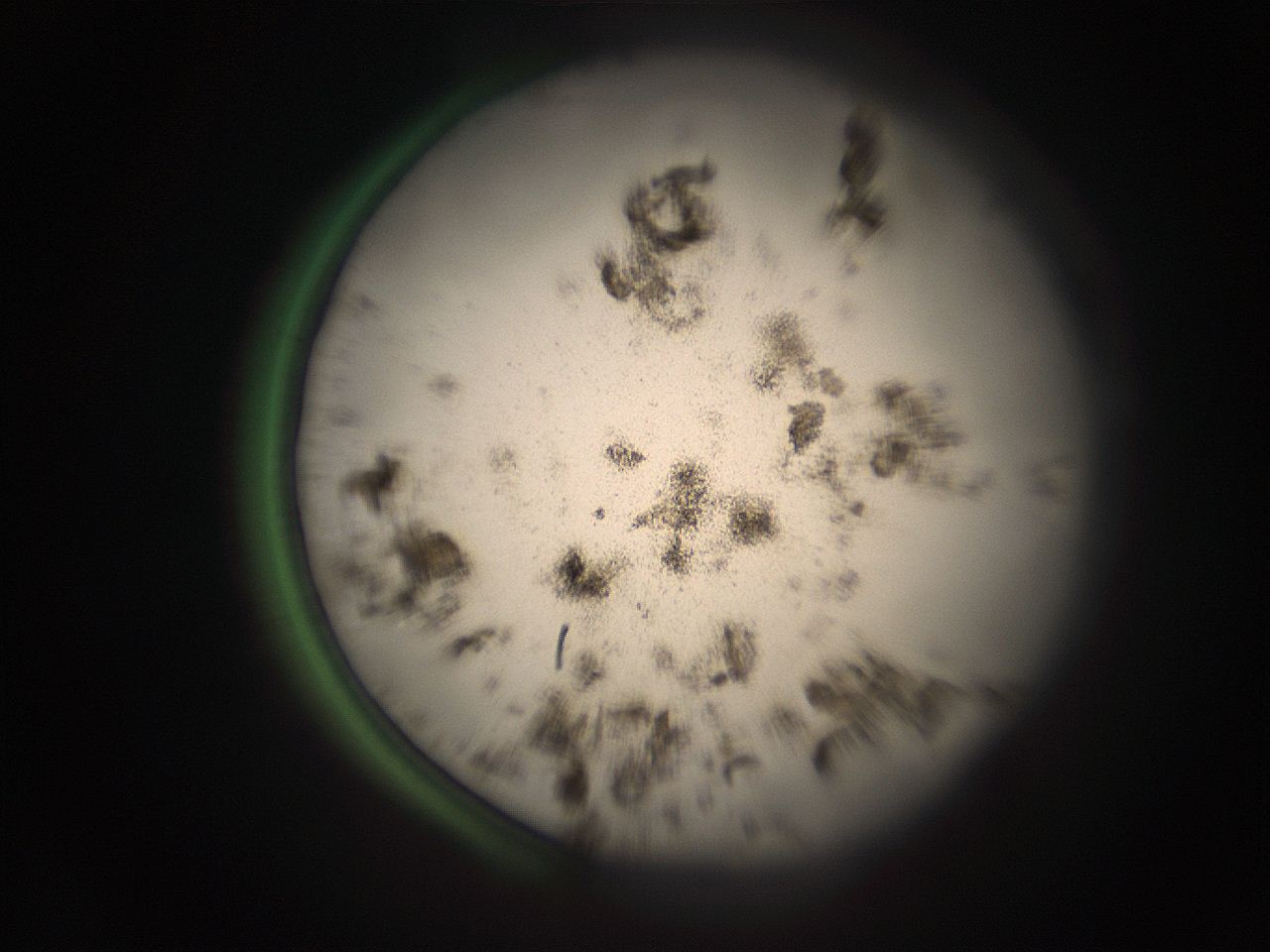 05r7_C14_ImagerDefaults_9.jpg