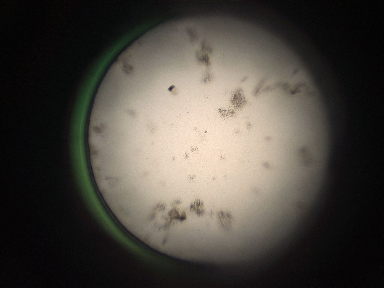 05r7_C15_ImagerDefaults_9.jpg